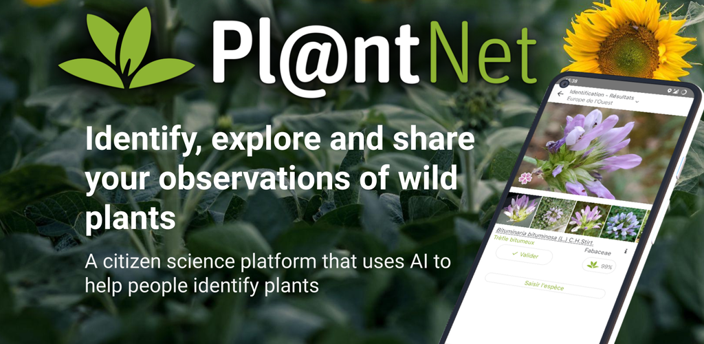 PlantNet mobile app promotional image showing plant identification interface on a smartphone with wild plant imagery in the background.