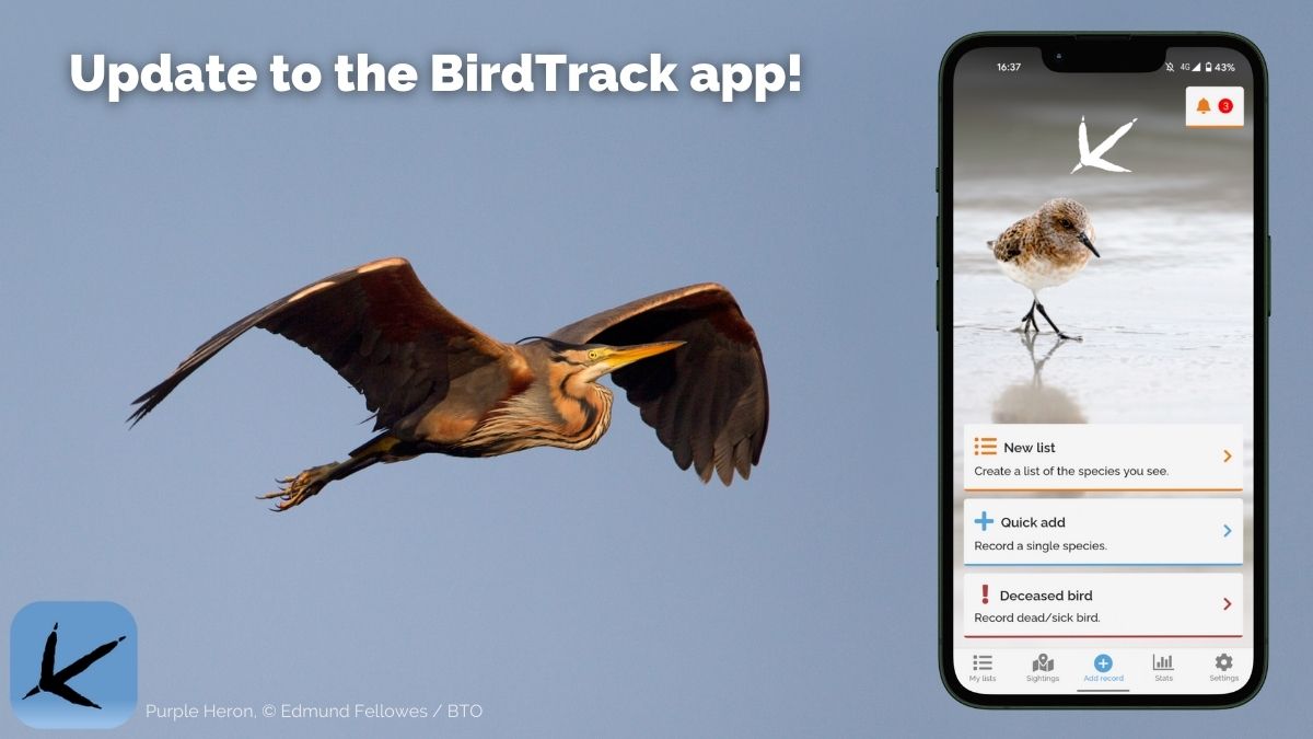 BirdTrack app interface shown on a smartphone alongside a purple heron in flight, featured in this guide to the best wildlife apps UK.