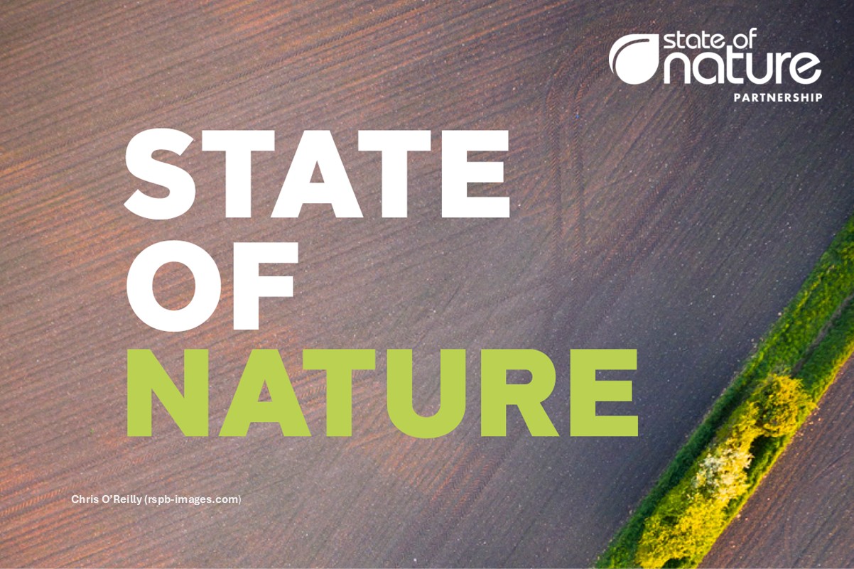 Front cover of the State of Nature 2023 report on UK wildlife trends and biodiversity decline.